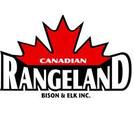 Canadian Rangeland Bison